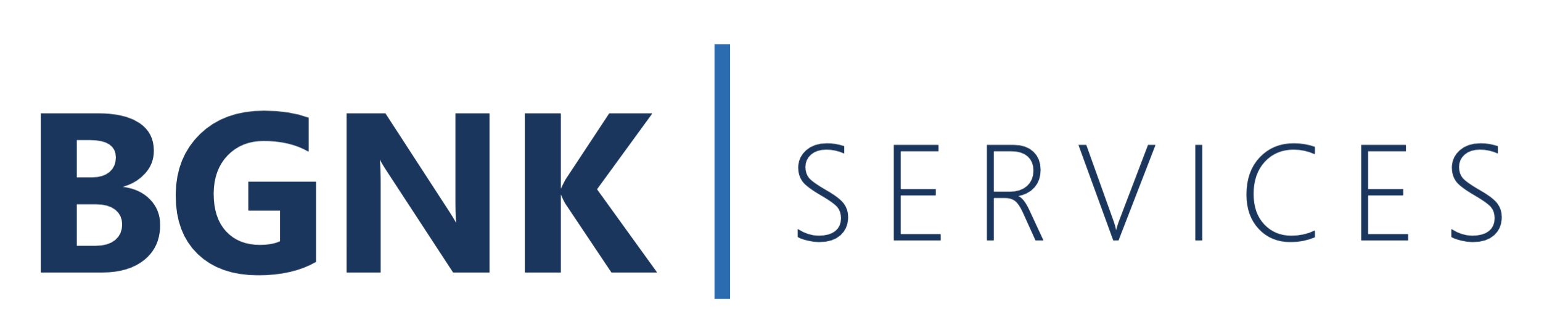 BGNK Services GmbH logo